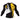 EverRise Sports Rash Guard – Dry Fit Long Sleeve - Everrise Sports